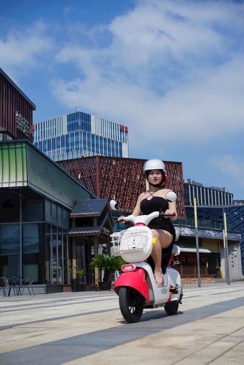 xe đạp điện giá rẻ